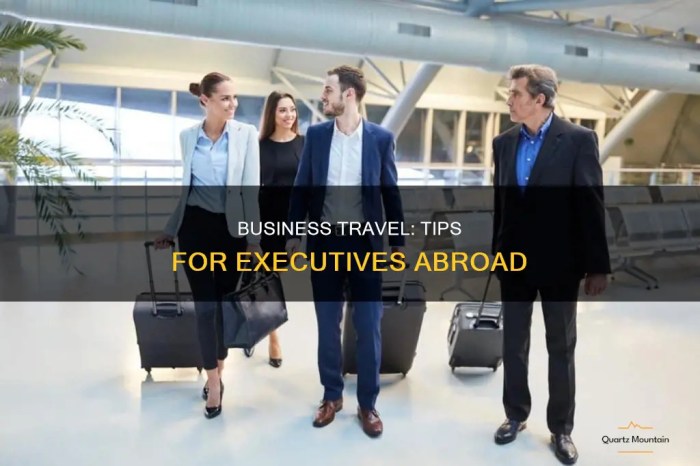 Business Travel: Tips For Executives Abroad | QuartzMountain