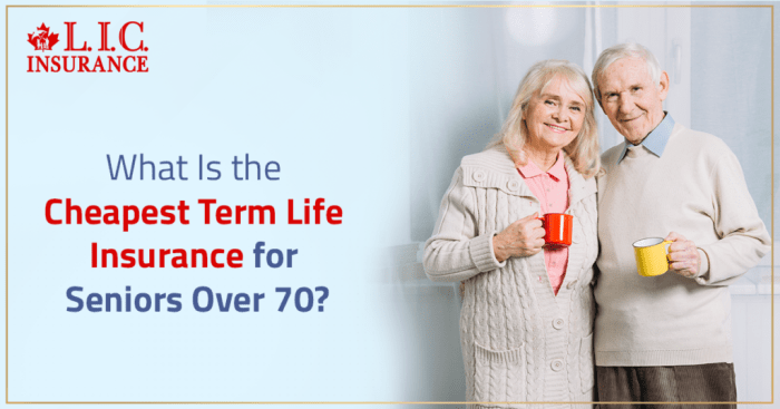 What Is the Cheapest Term Life Insurance for Seniors Over 70 ...