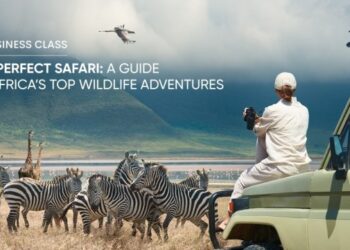 Best Safari Destinations in Africa: Top 10 Wildlife Adventures
