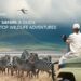 Best Safari Destinations in Africa: Top 10 Wildlife Adventures